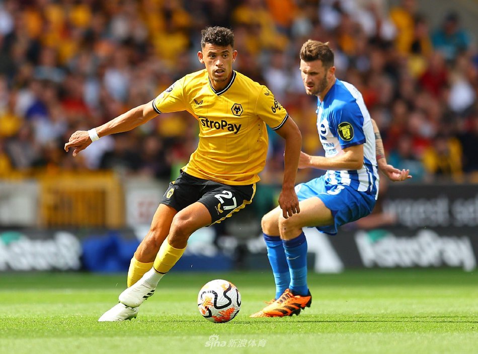 回到国内赛 回到国内赛